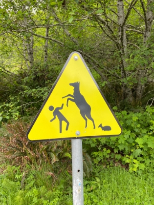 One of the more peculiar trail signs I've seen. At first I thought it was a warning not to get humped by an Elk, but I guess it's to warn that they rear up and attack if you get too close.