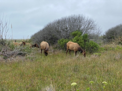 And then eventually they got really close. A little too close for comfort given the warning sign.