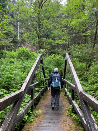 After about a mile walk along a fire road, we turn up the other side of the loop on to the Miner's Ridge Trail. It's clearly less trafficked than the James Irvine Trail.