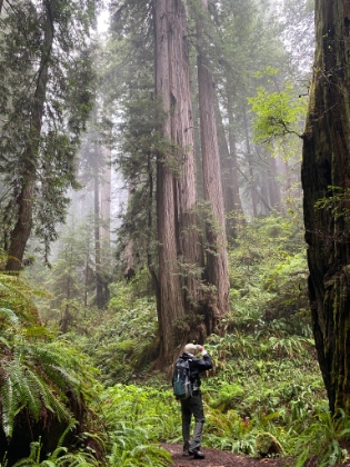 As we get later in the day, the misty weather turns into a light rain. Like yesterday, it just adds to the ambiance.