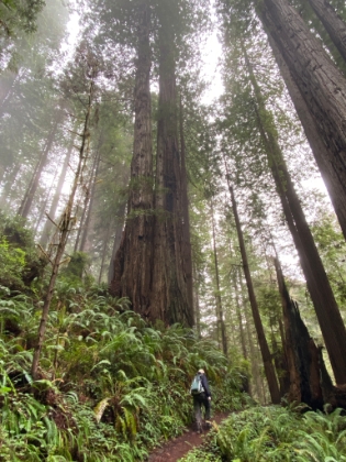 The PPM (Photos Per Mile) rate is off the chart in this place.