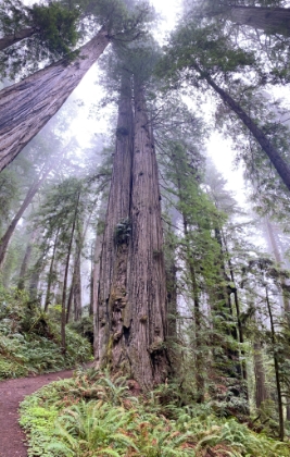 One last attempt at a vertical panorama shot.