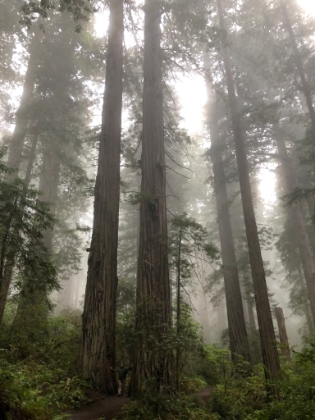 Dad's photo of me in the same spot.