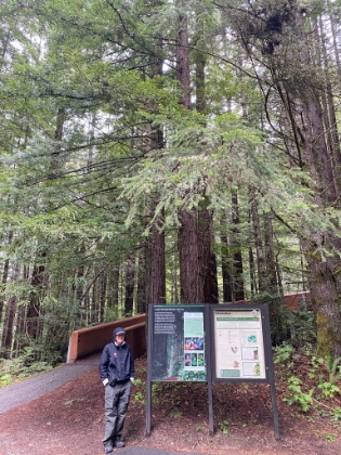 After Trillium Falls, we searched the map for another short hike to try. We ended up deciding on the trail through the Lady Bird Johnson Grove.