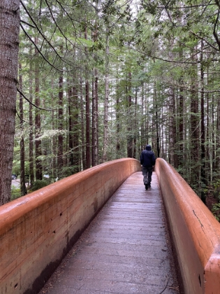 Heading back over the bridge to the parking lot. We still may have time for one more quick hike today.