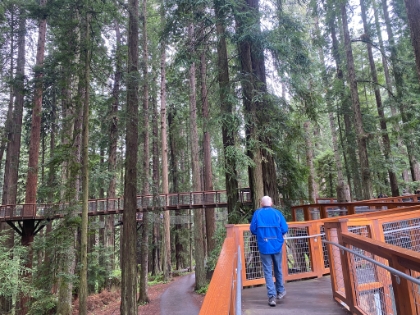 The Redwood Skywalk is a really well done nature walk through the Coastal Redwoods.