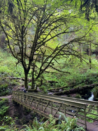 Dad taking in the view.