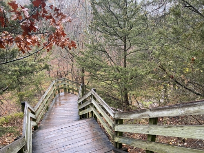 The stairs and pathways up and down the bluffs throughout the park are amazing. It's no surprise that much of the original work in the park was done by the CCC. They started in 1933 and evidently were paid only $30/mo for their work!