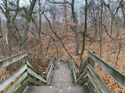 More beautiful woodsy area and intricate stairways.