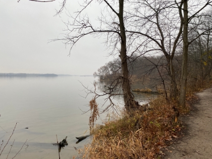 The trail is now down right at water level following the banks of the Illinois River.