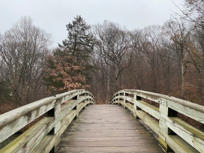 I can't get enough of the bridges and walkways, they are incredibly picturesque.