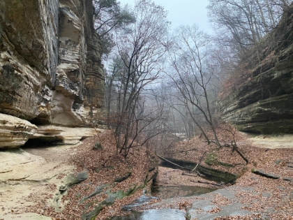 Looking down La Salle Canyon. Entirely different than my Rocky Mountain NP trip a few days ago, but this spot also ranks pretty high up my all-time favorite list.