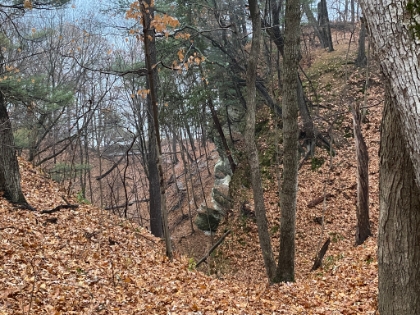 Looking down one of the small canyons carved out of the sandstone. You can see a trail bridge below and then the Illinois River just past it.