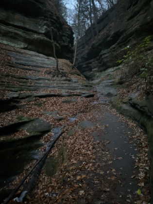I'm running out of daylight, and the parking lot closes at dusk, but i can't resist the urge to scramble up French Canyon.