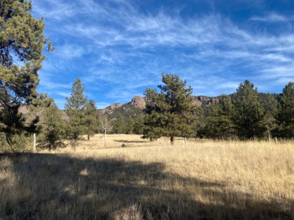 Starting out from the Chase Meadows trailhead. This is a popular mountain biking area, so most of the trails are wide and smooth. The dirt sidewalk style is a little too tame for my taste, but the meadow views are fantastic.