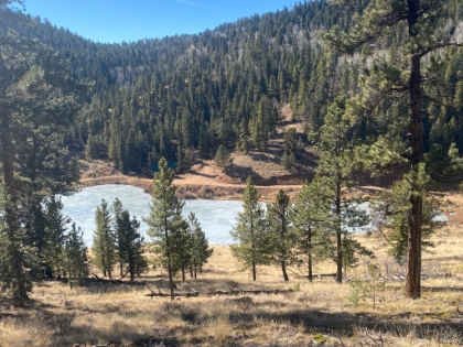 Approaching Elk Falls Pond. It looks entirely frozen over despite temps in the 40s today.