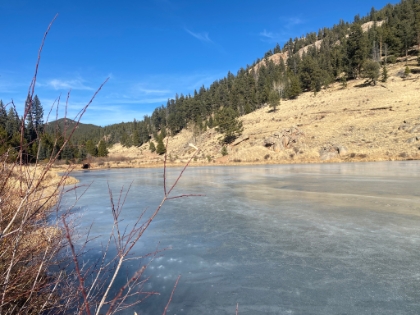Down at pond level now, it's a great spot for lunch.