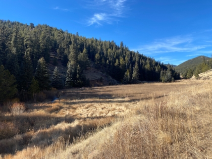 Heading back a different route now via the Bugling Elk trail.