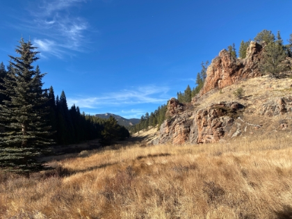Gorgeous meadow views everywhere. I would love to see this in the Spring!