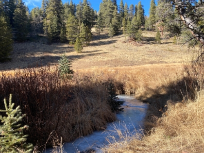 The milky white stream flowing through the meadow. The water color is definitely a little Patagonia-esque.