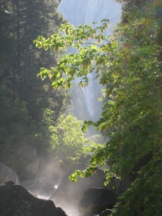 Yosemite '08 029