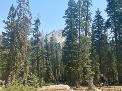 A look back at Sentinel Dome.