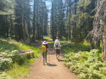 This area is still lush green even in early September of a dry year.