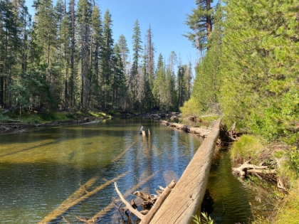 The Merced River above the falls. Classic Sierra scenery up here.