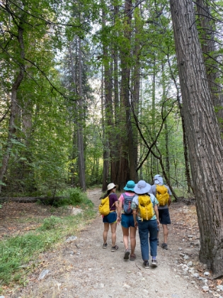 The whole group heading towards Mirror Lake.