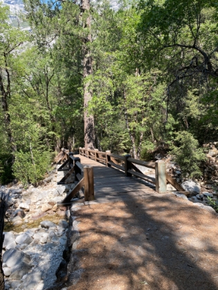 Made it to the end of the loop at the Tenaya Creek bridge. This is actually the first time I've been all the way around the loop.