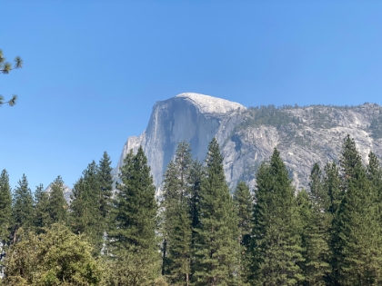 Heading back to the car now for the classic Half Dome view from Curry Village (which can finally be called Curry Village again!)