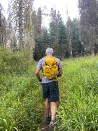 Just the right amount of overgrown in places. It's nice to know that some trails in Yosemite Valley can still get overgrown!