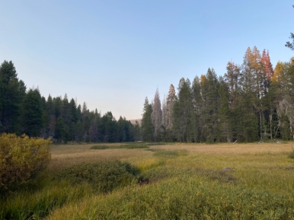 Day 3- Mirror Lake and McGurt Meadow