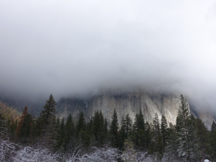 The foot of El Capitan barely visible below the storm. Being in Yosemite without being able to see the iconic granite views is a little frustrating, but it's an entirely new look for us after many summer trips here.