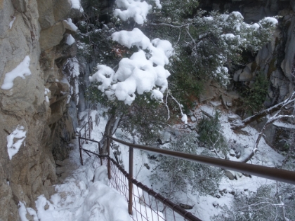 Time to head back down. I knew my dad would be getting worried and/or upset by now, but making the top of the fall was just too awesome an experience to pass up.