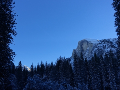 Half Dome later in the morning with the sun just starting to hit the back of the dome.