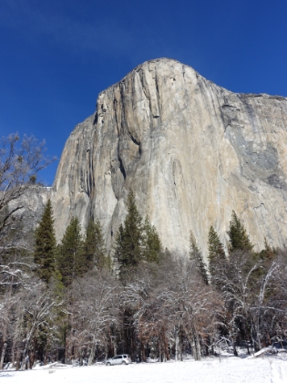 Dad's car dwarfed by the towering El Capitan. With its 3,000' face, it's one of the largest rock monoliths in the world.