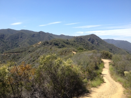 The Backbone Trail continuing on into Topanga State park along the South ridge of Rustic Canyon.