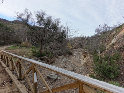 The plan was to run the same route as the Xterra race course. I thought for sure that between the trail map, and memory, I would be able to retrace the course. But the area had been completely wiped out by the Pt. Mugu fires from a couple years ago, and then recent heavy rains had washed everything out. The entire park was closed, but that didn't stop Dr. Rock and I from heading on. Here's the bridge at the end of the road that used to be in heavy tree cover.