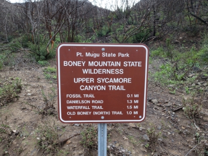 Heading-up the Fossil trail, which isn't on the Xterra course, but is actually a lot more fun.