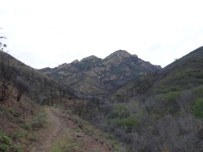 Great single track, and pretty steep.