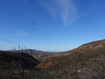 Peekaboo ocean views. It's a very interesting color palette with greens growing back over the browns of drought and the black of fire.