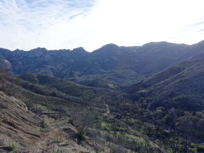 Looking down Upper Sycamore Canyon.