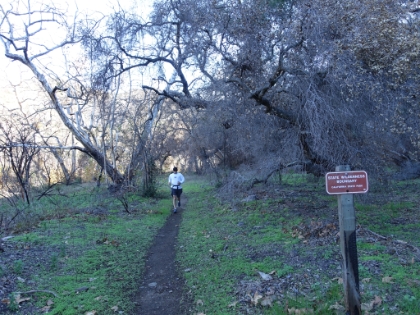 Coming out of the creek bed.