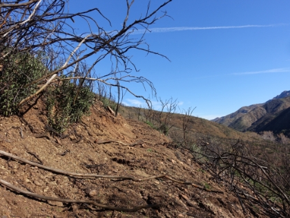 We decided to detour off the Xterra course again to avoid some fire road. Here we're heading up the Coyote Trail, which is almost completely washed out in places.
