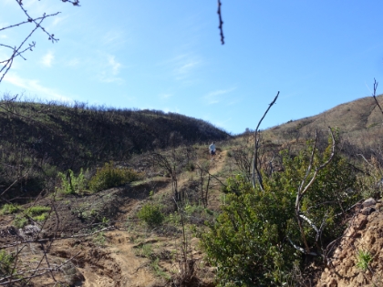 Dr. Rock dealing with some steep downhill on the way back.