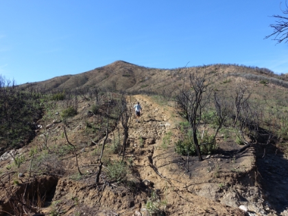 Steep and technical downhill, almost back to the trailhead. Another great trail day in the books.