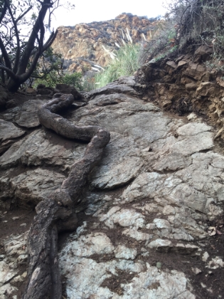 To get to the bottom of the upper falls, you have to do some scrambling up "trail" that looks like this.