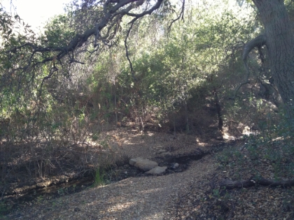 Finally a little bit of water and tree cover.