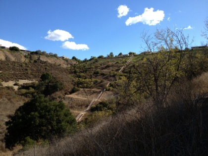 One of the craziest set of stairs I've ever seen. 11 flights of about 20 steps each, easily a few hundred feet of total gain. If this were easier to get to, it would probably be famous for stair training.